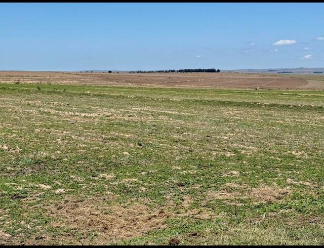 FARM FOR SALE IN TWEELING